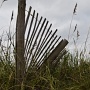 <p align=left>La dune, la clôture protectrice rappellent aussi le paysage de bord de mer